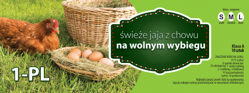 10-wolny_wybiegi_v1.png