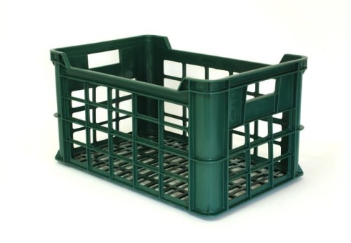 RPE zielona kadr.jpg