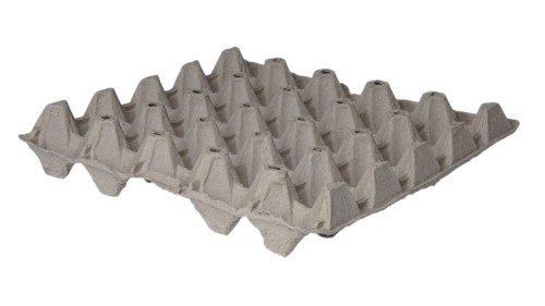 25 lbs z dziurami na 20 jaj.jpg