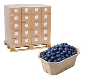 Pojemnik na owoce P250 Harmony 25.200 sztuk paleta