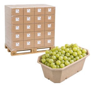 Pojemnik na owoce P450 Supreme 17920 szt