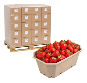 Pojemnik na owoce P500 Max 11200 sztuk paleta