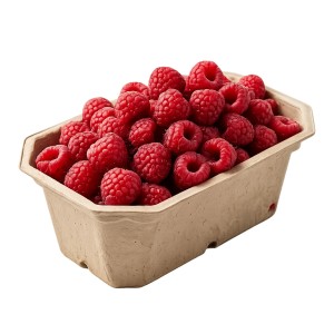 Pojemnik na owoce P200 Delight 1260 szt