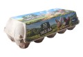 wytlaczanka_pierwsza_2048x1404_wiekszy_produkt.jpg