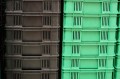 DSC00168.JPG